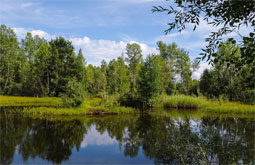 Camping Les Chambons Camping Les Chambons