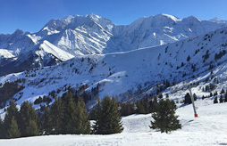 Les Chalets des Carroz d'Araches