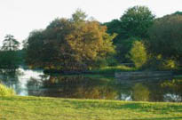 Camping L'Etang du Merle Crux la Ville Camping L'Etang du Merle Crux la Ville