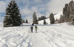 Camping L'Ecrin du lac 