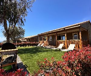 LES COLLINES DE LAVA