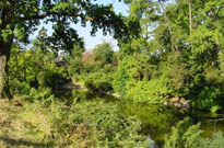Camping touristique de Giens