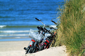 ILE DE R�