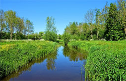 Village de vacances Le Domaine Des Guifettes