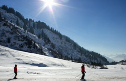 Chalet Grand Massif