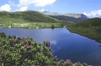Camping La Rosa nel Borgo Agricamping
