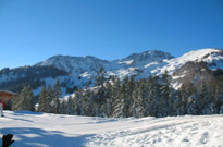 Alquiler vacaciones Les Chalets de Seyne Alquiler vacaciones Les Chalets de Seyne